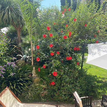 Villa Angelina - Casa Glicine Vallecrosia Dış mekan fotoğraf