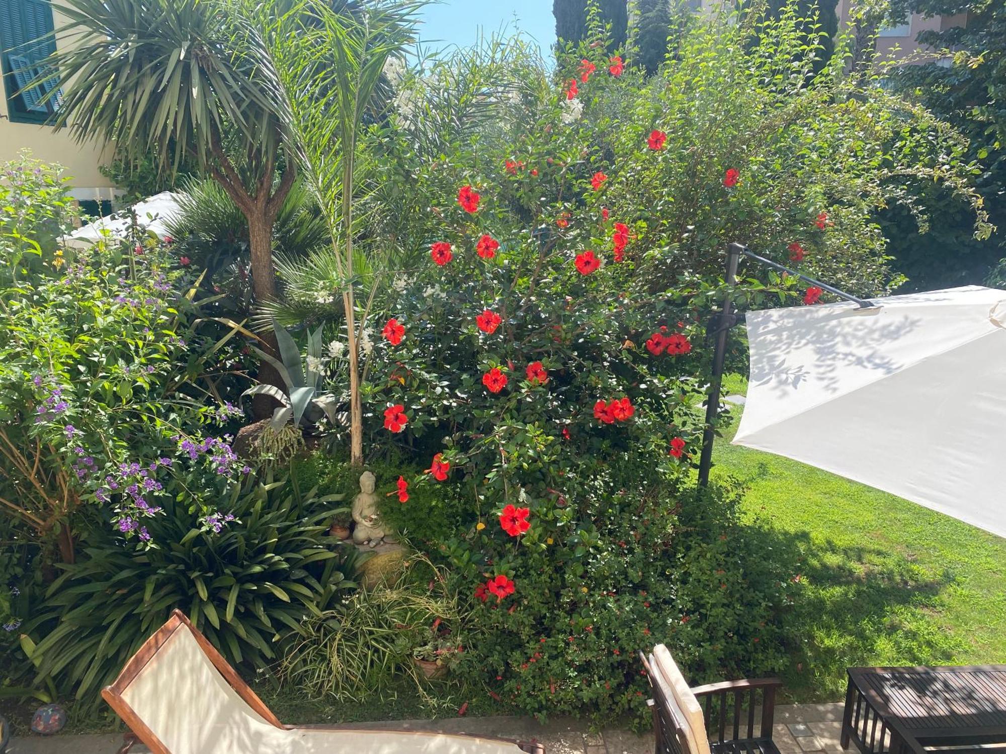 Villa Angelina - Casa Glicine Vallecrosia Dış mekan fotoğraf