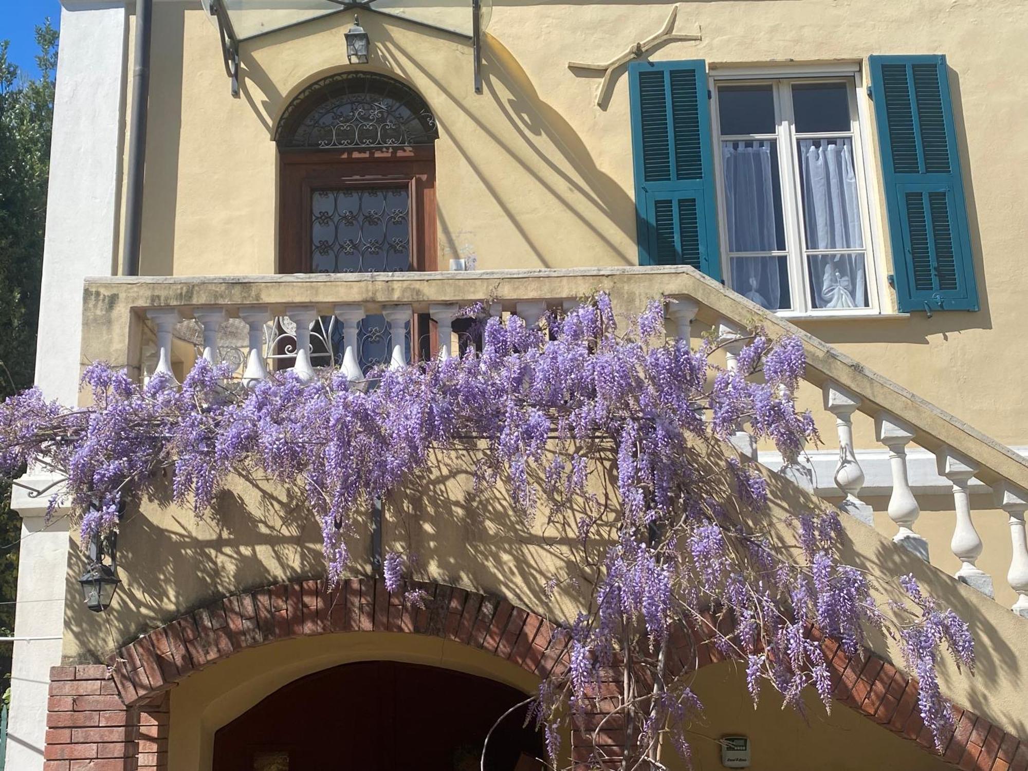 Villa Angelina - Casa Glicine Vallecrosia Dış mekan fotoğraf