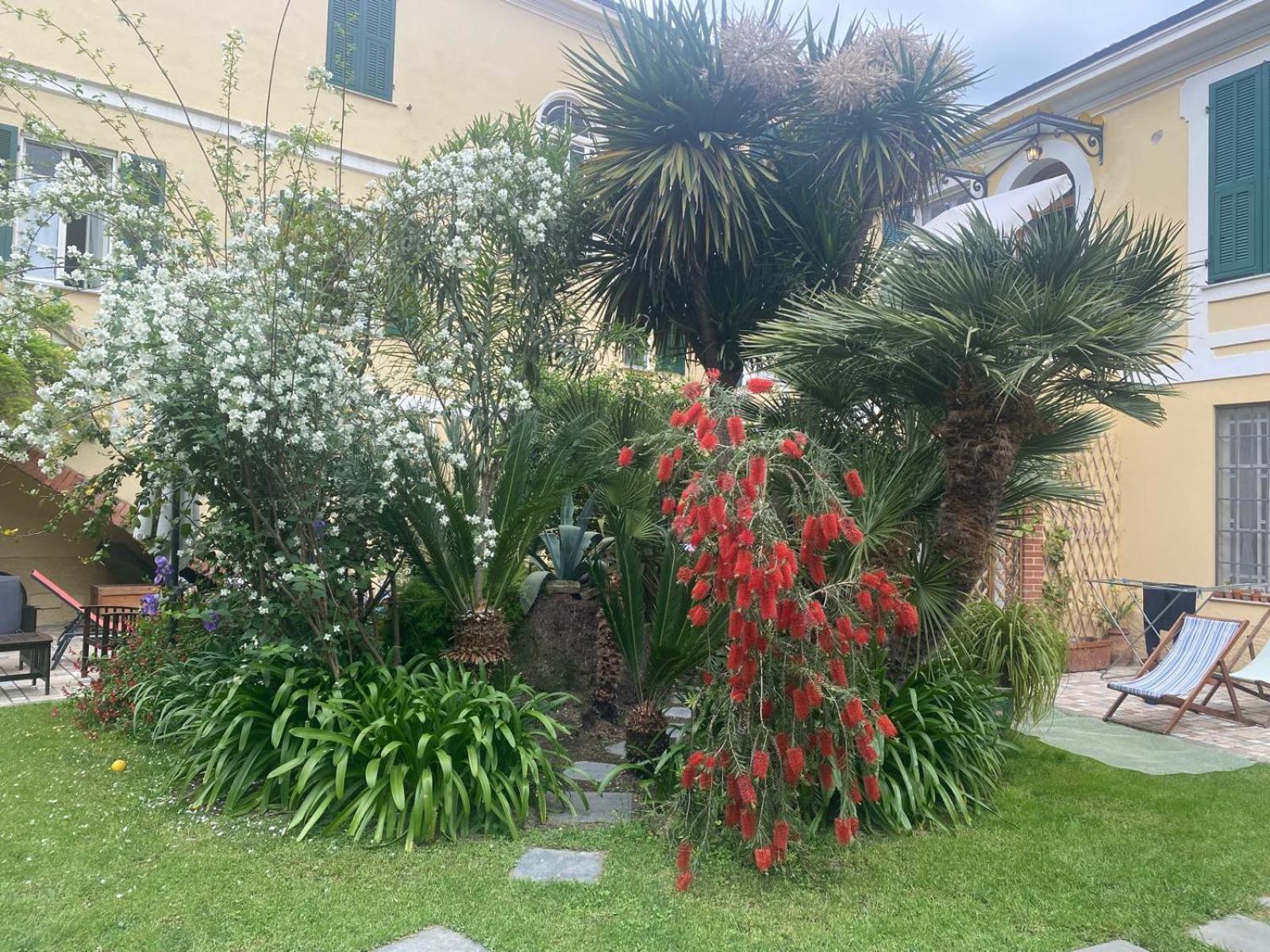 Villa Angelina - Casa Glicine Vallecrosia Dış mekan fotoğraf
